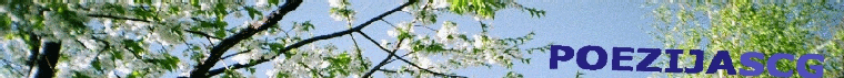 LogoPoezijaSCG